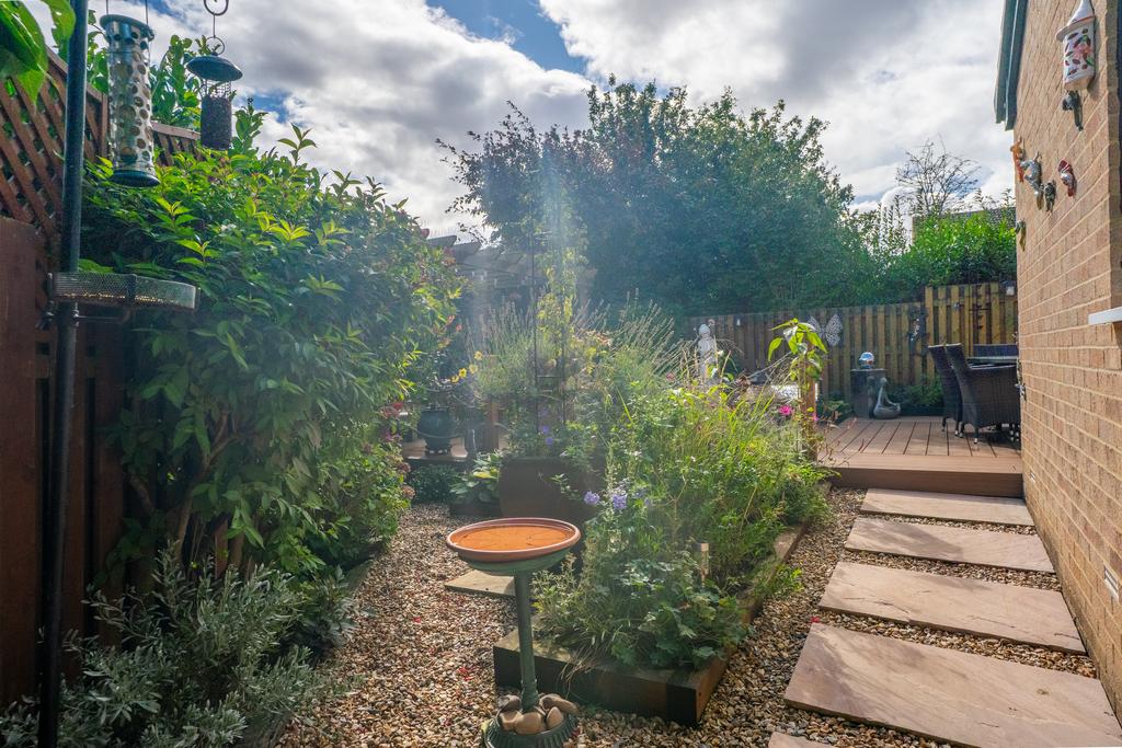 Back garden