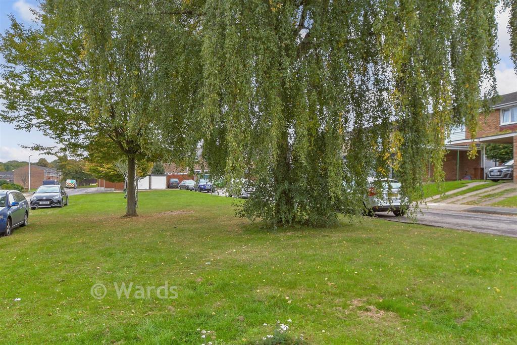Surrounding Area