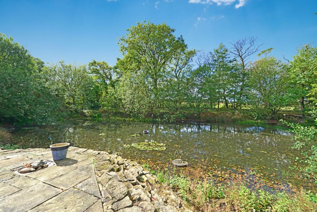 Pond