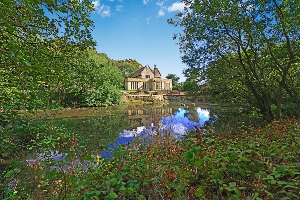 Pond