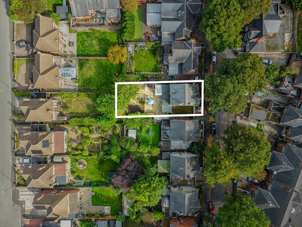 Outline of Plot