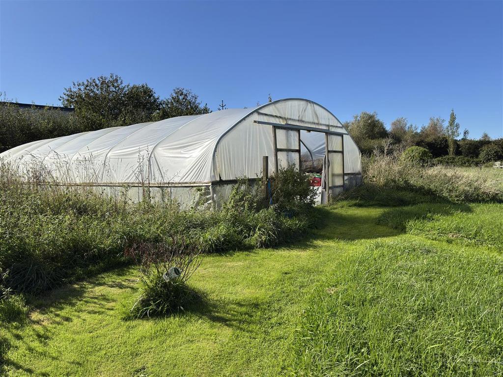Polytunnel