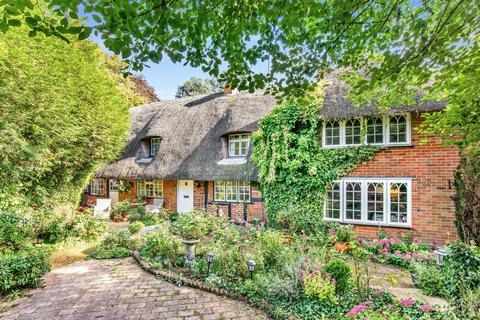 undefined, Winchester SO22
