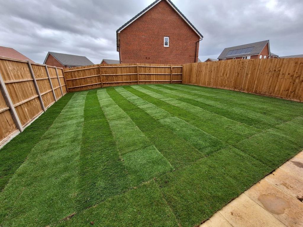 Typical garden