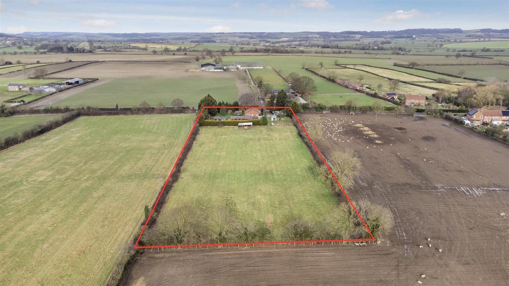 DJI 0954.jpg