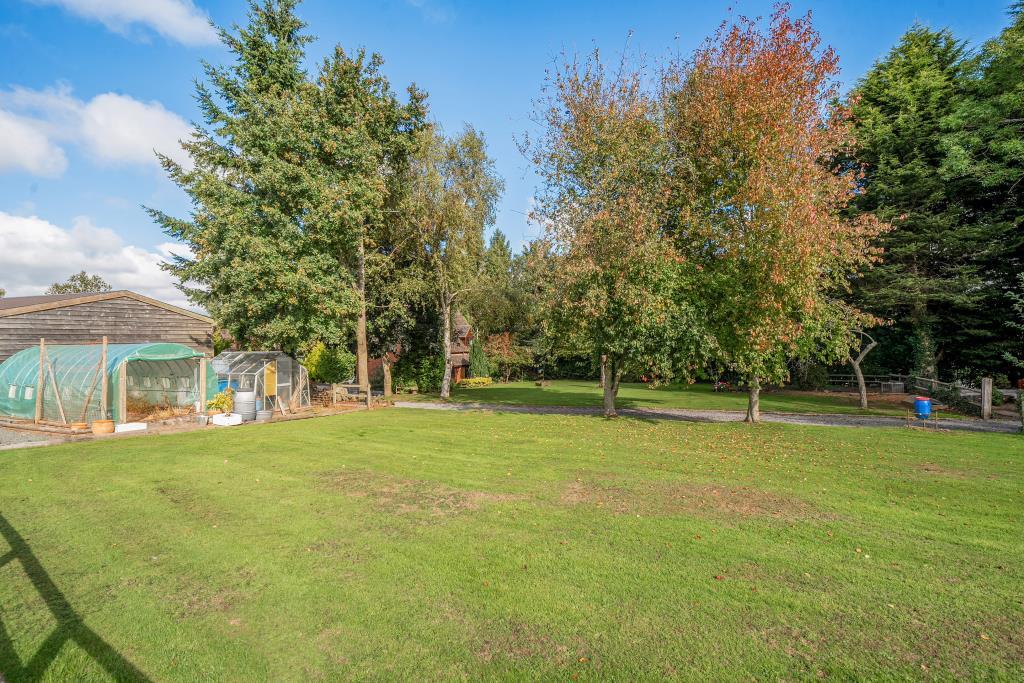 Photos