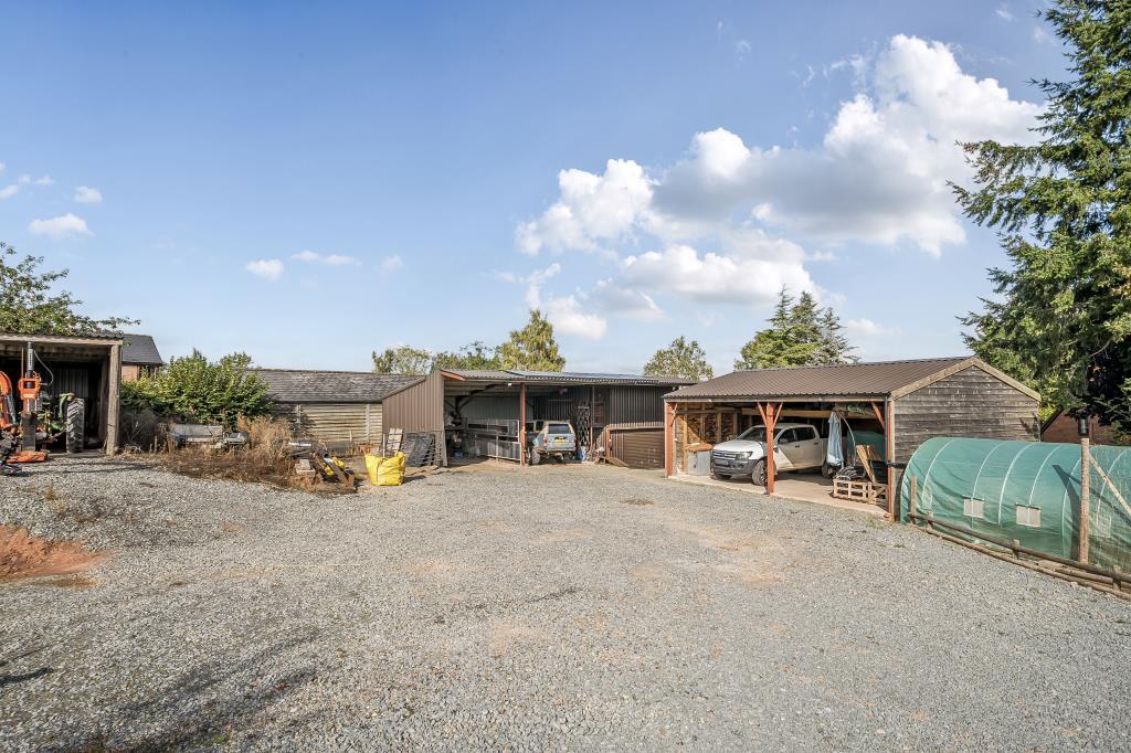 Photos