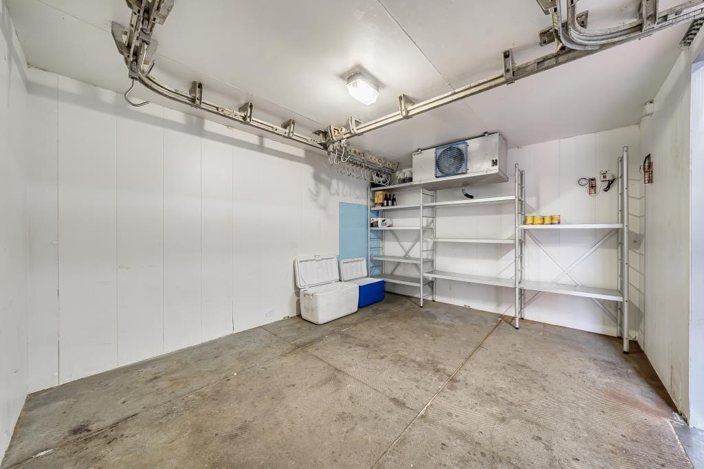 Photos