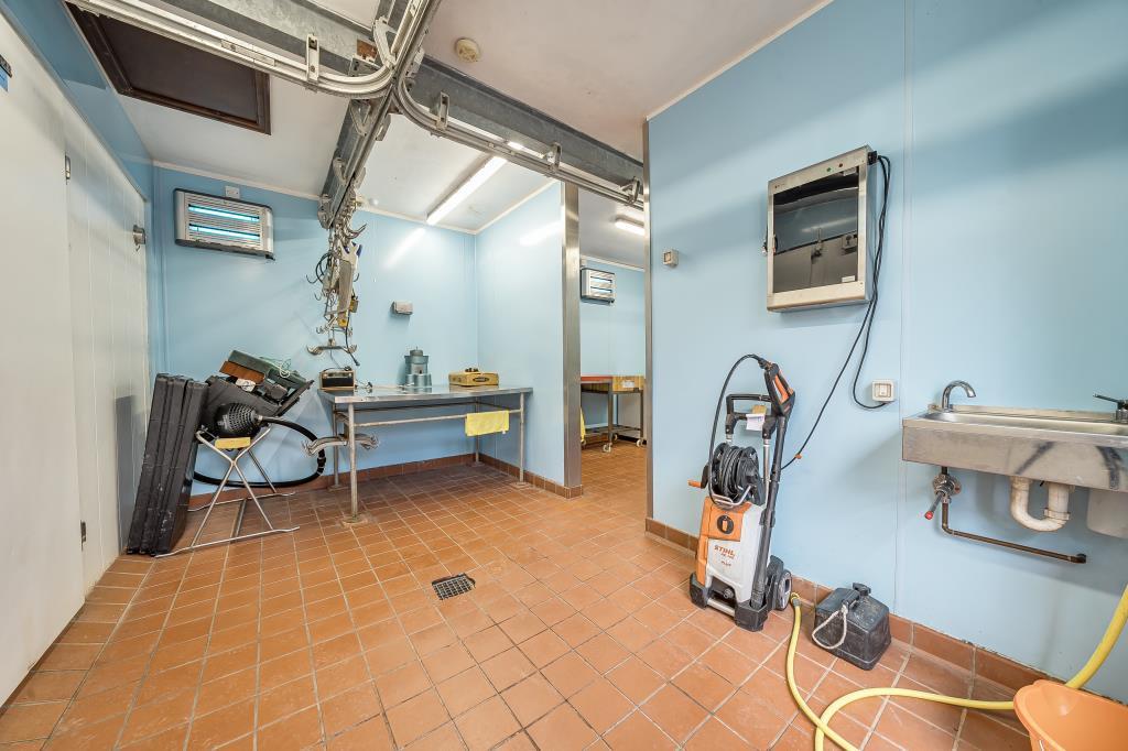 Photos