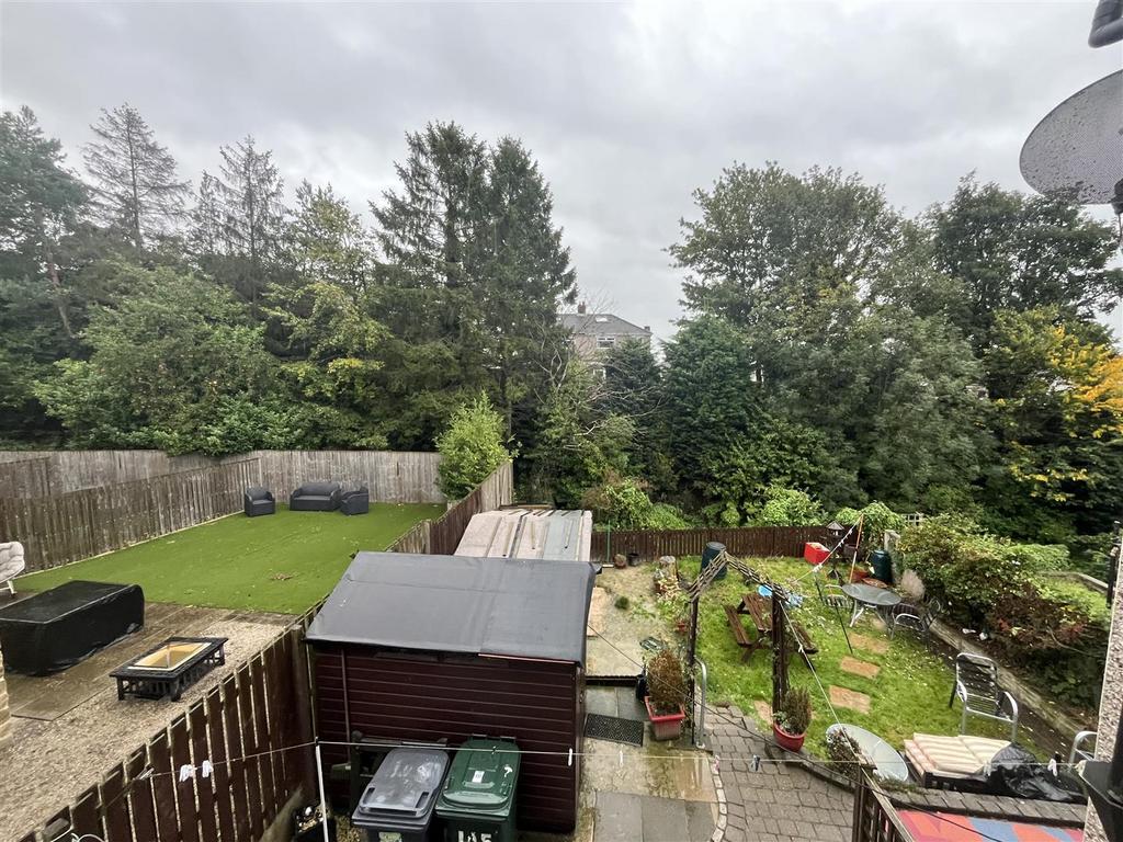 Back Garden