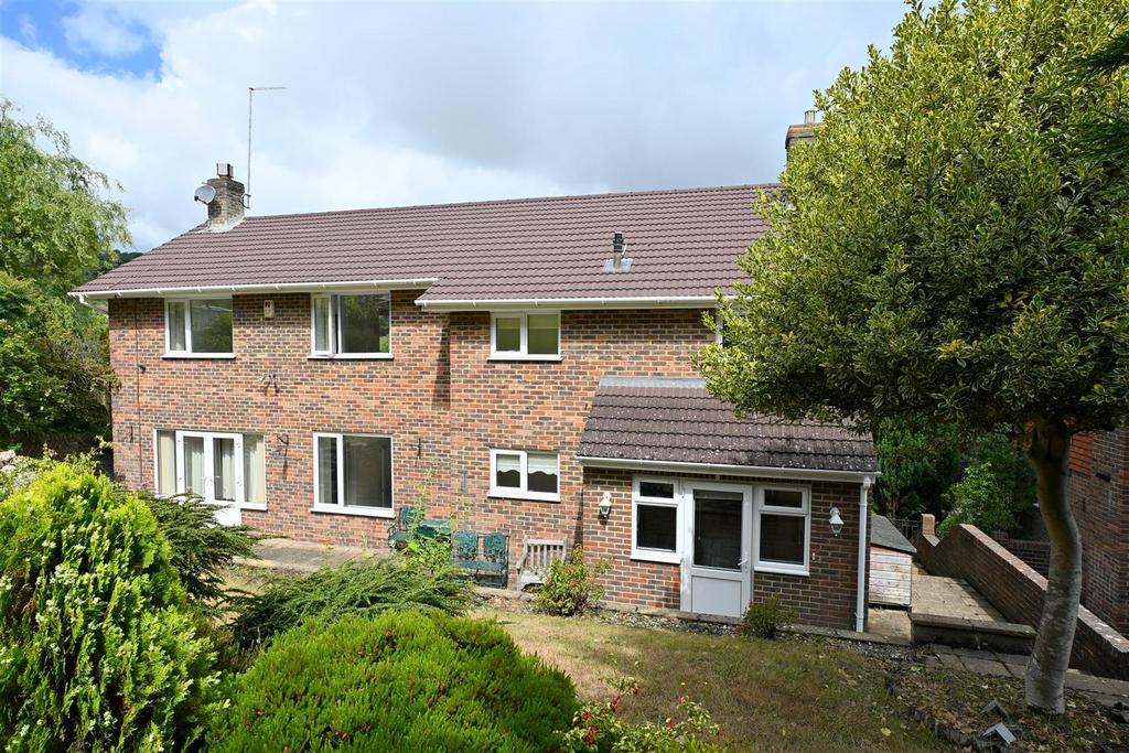 Rear Elevation