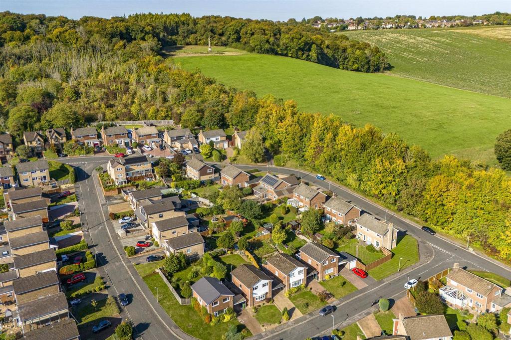 Thumbnail 11 Calverley Crescent, HP13 5 EU Drone-1.
