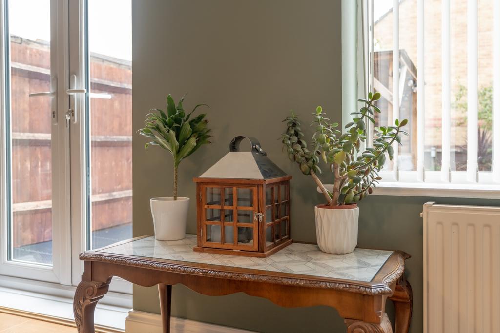 Edney View-15
