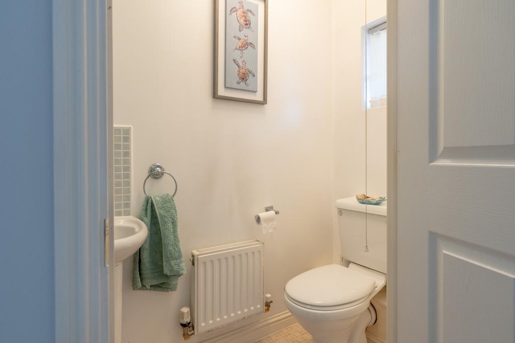 Edney View-21