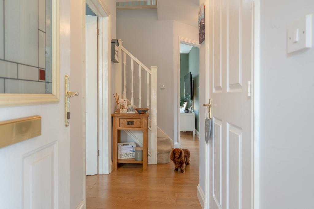 Edney View-22
