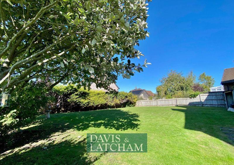 The Rear Garden