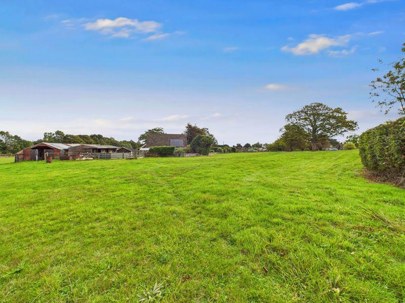 Paddock
