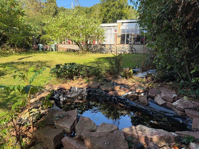 Pond