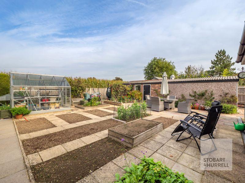 Vegetable Plot