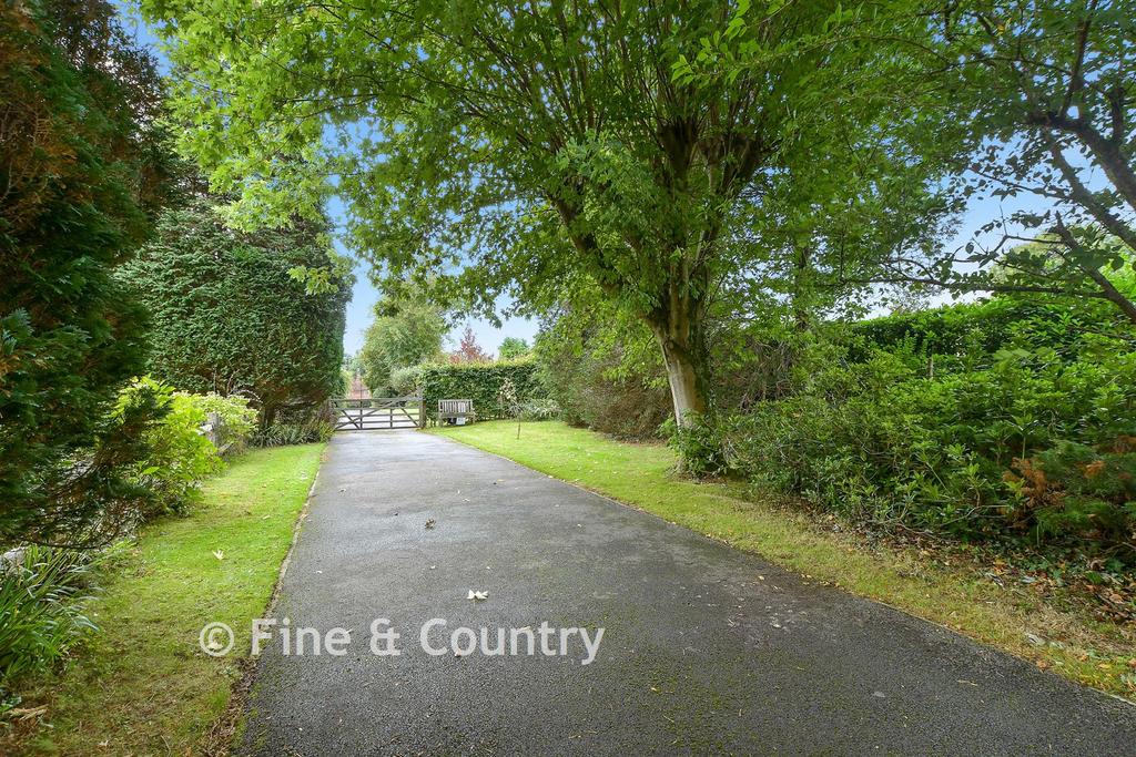 Driveway/Parking