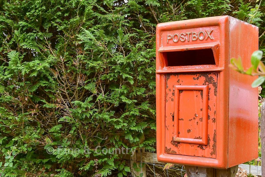 External Lifestyle Photograph