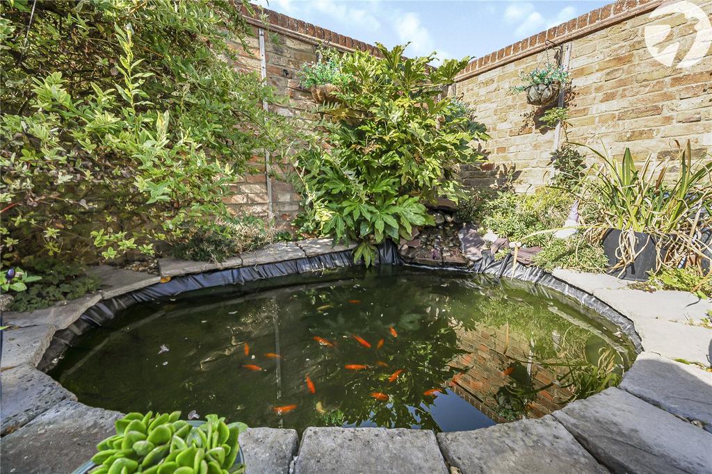 Pond