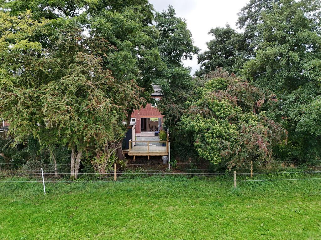 Rear Elevation