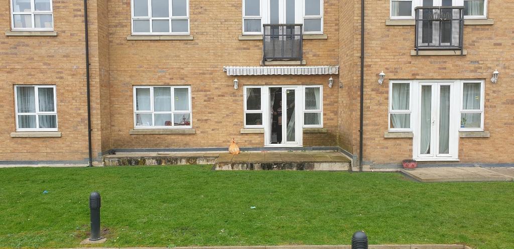 Rear Patio