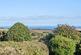 Additional image 22 of St. Buryan, Penzance