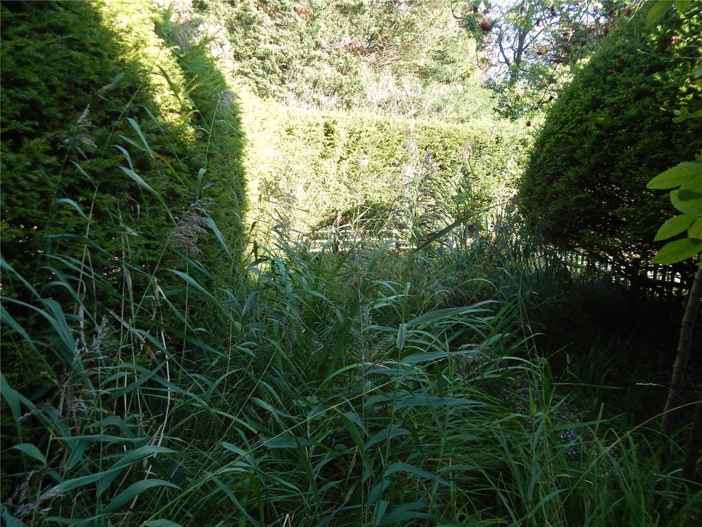 Japanese Garden