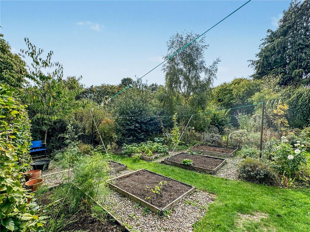 Veg Area