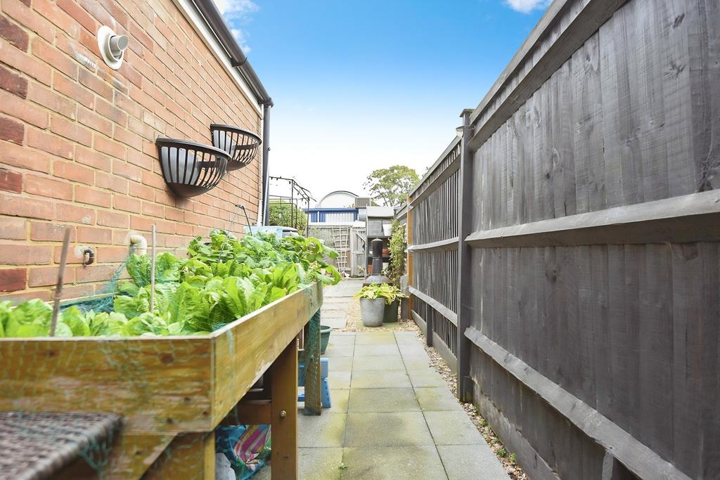 Back Garden