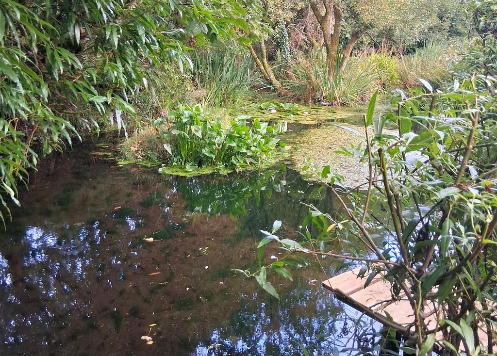 1000009133 - Copy.jpg