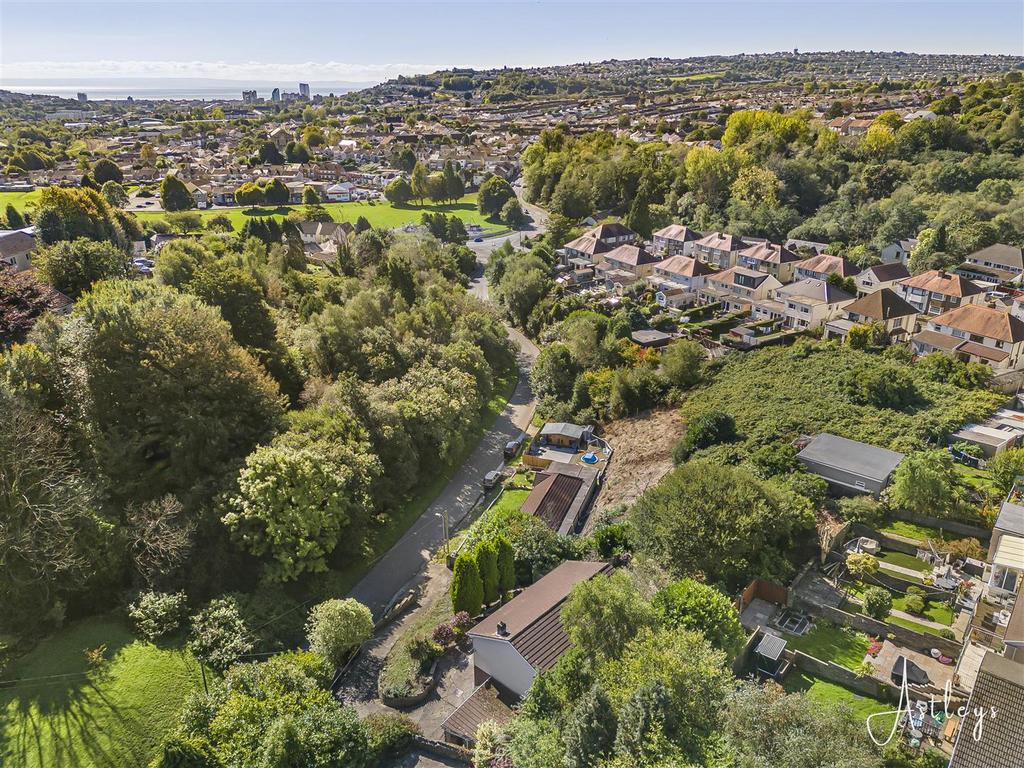 Aerial Images