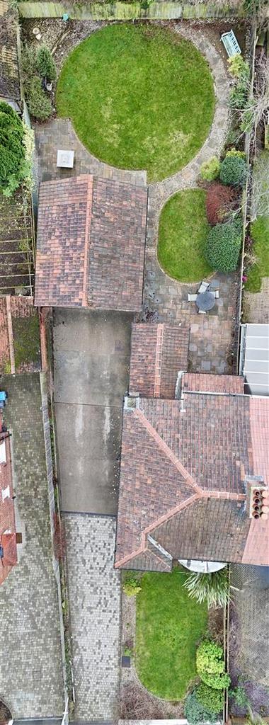 Plot view