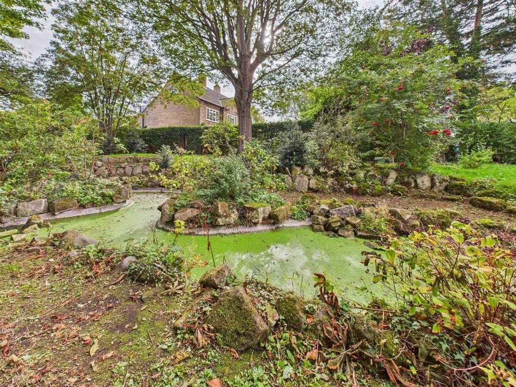 Grounds: