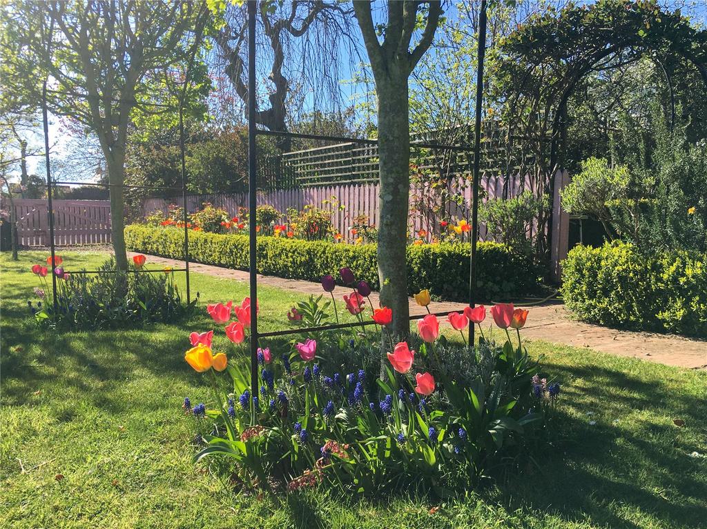 Garden In Springtime