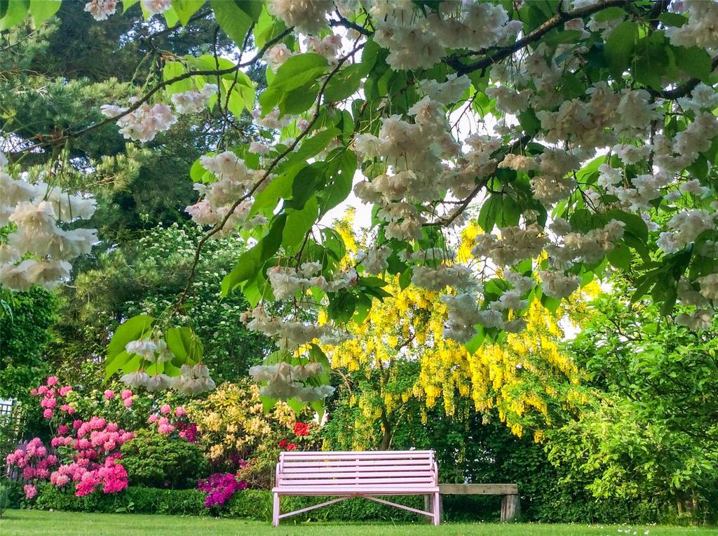 Garden In Springtime