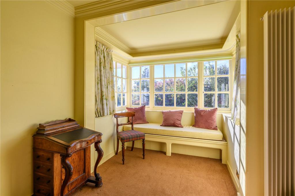 Living Room/Bedroom