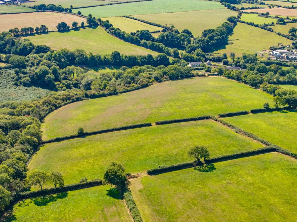 The land