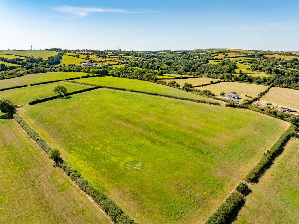 The land