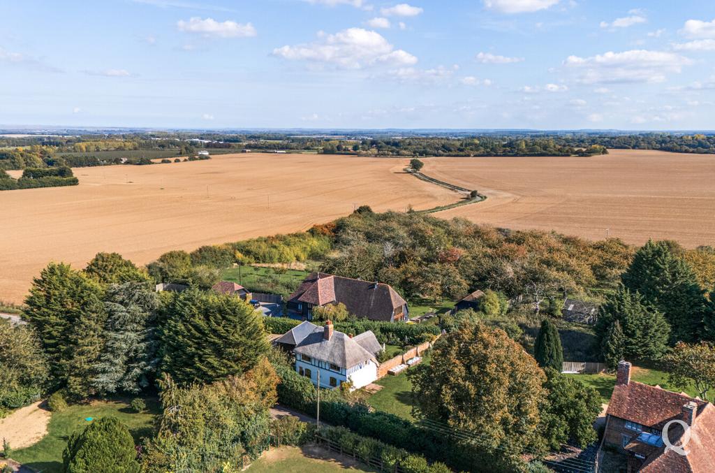 Cc300c65-496b-42c...