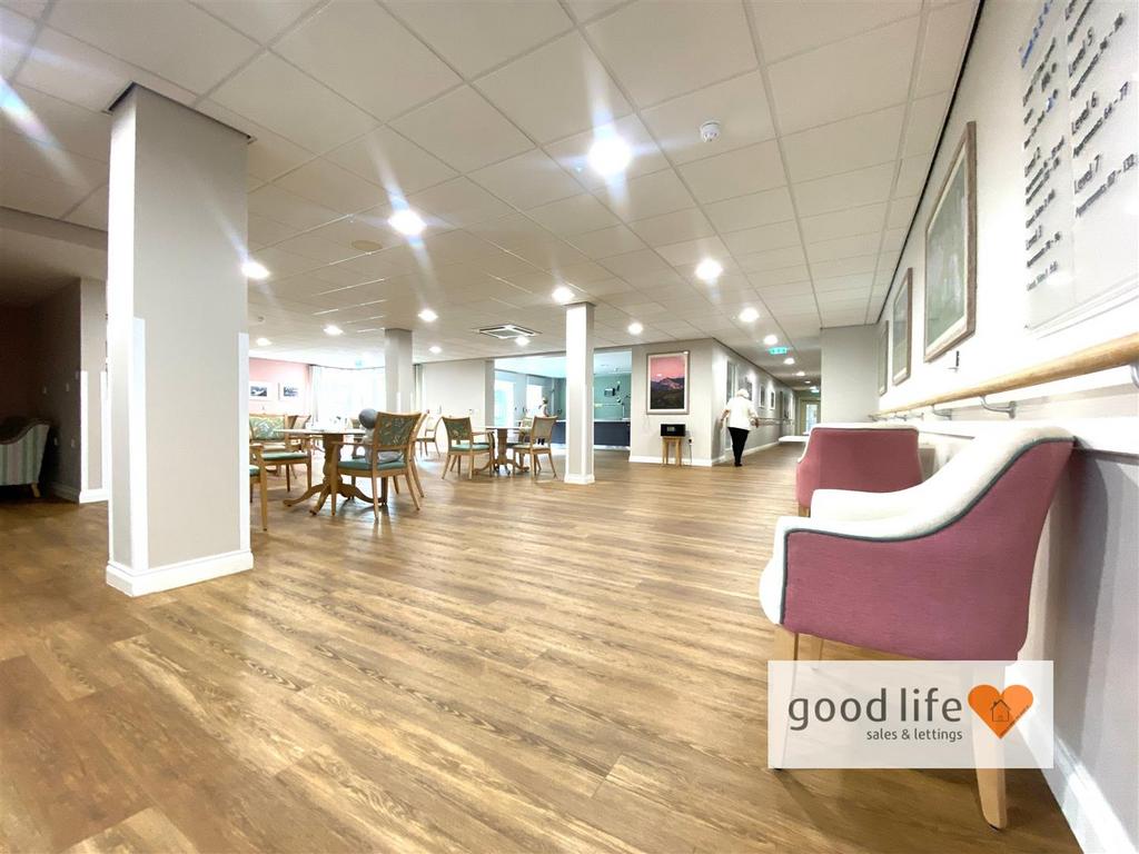 20250911 120125393 i OS34dovecoat.jpg