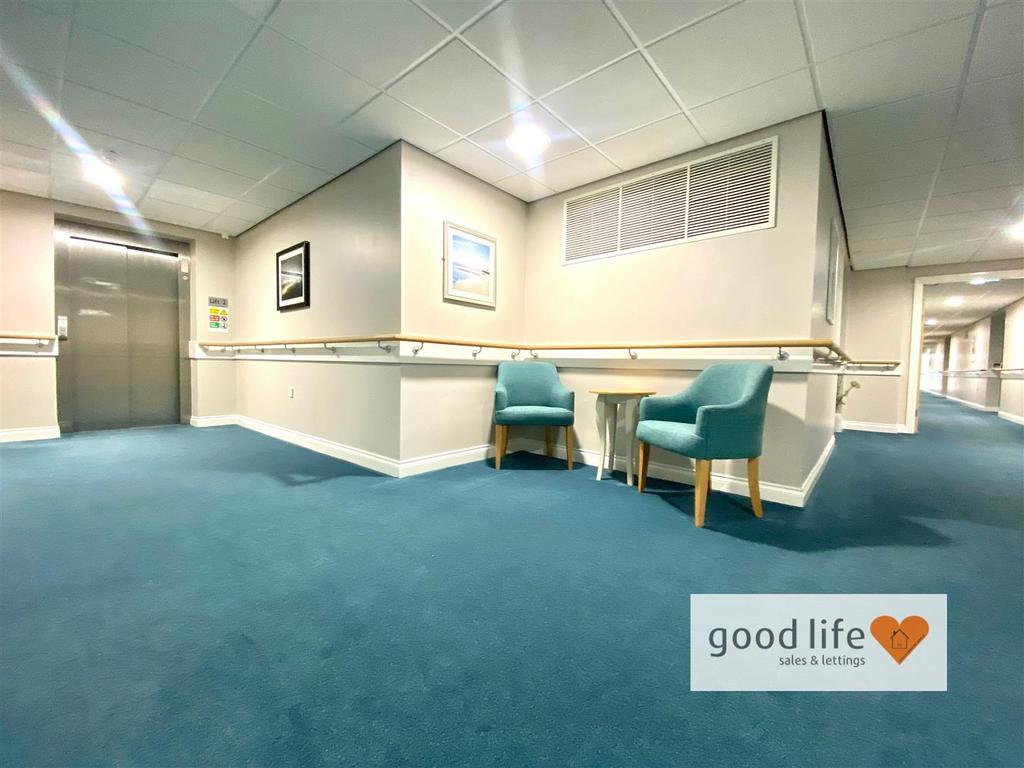 20250911 115821237 i OS34dovecoat.jpg