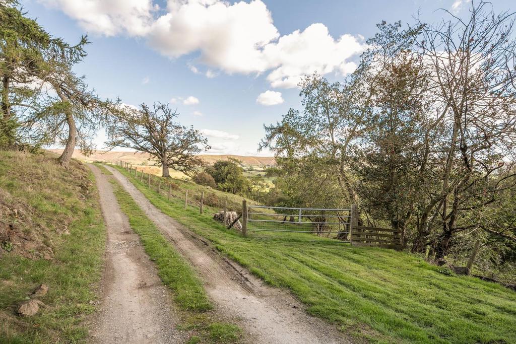 Drive approaching property.jpg