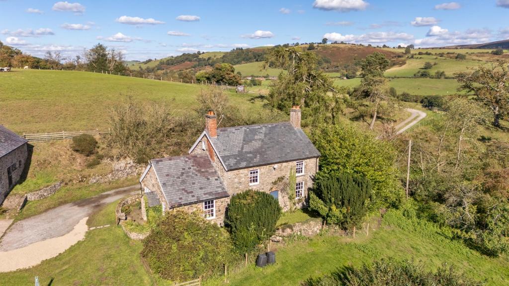 Elevated property.jpg