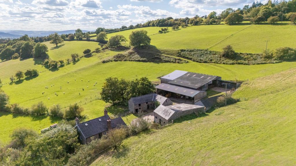 Elevated property and buildings.jpg