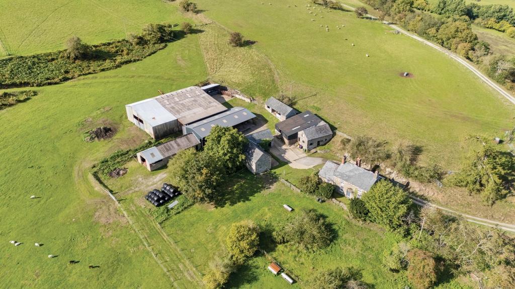 Elevated situation.jpg