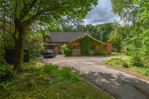 undefined, Hollybush Ride, Wokingham RG40