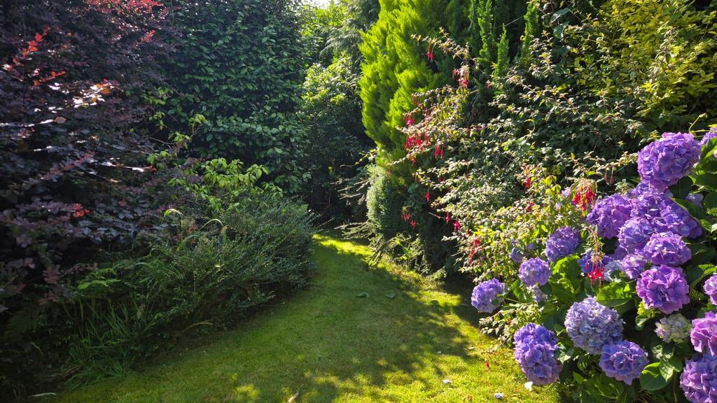 Garden 2.jpeg